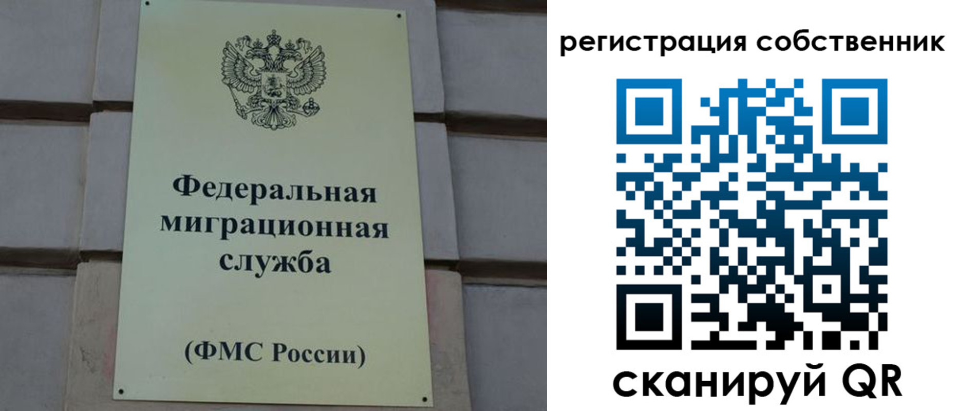 прописка гарантия в Черняховске